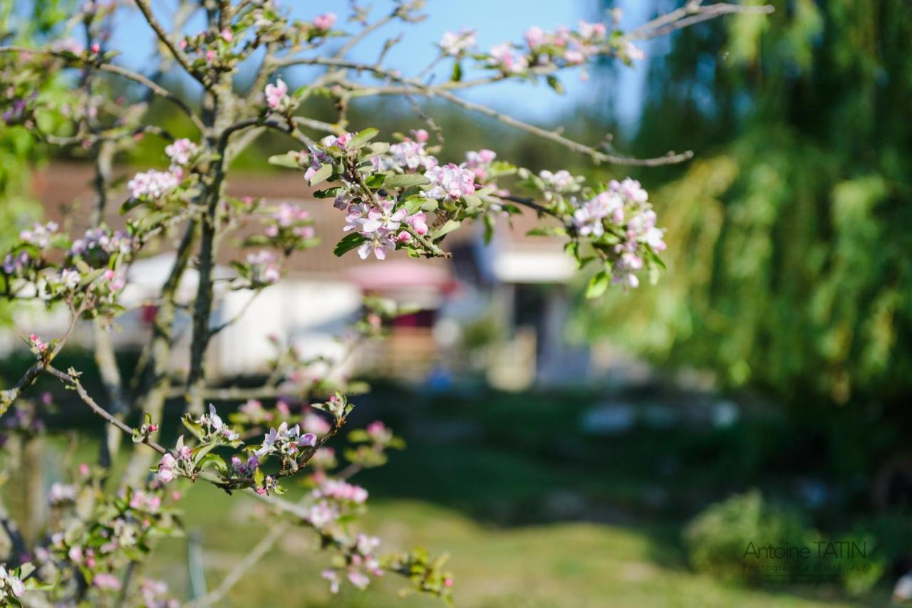 Bed and Breakfast La Chevrerie Vaire Екстер'єр фото