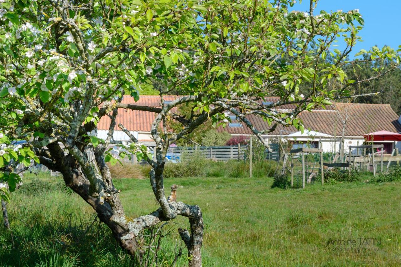 Bed and Breakfast La Chevrerie Vaire Екстер'єр фото